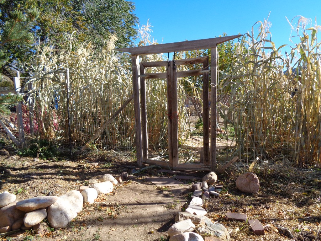 Upaya Zen Garden with Corn