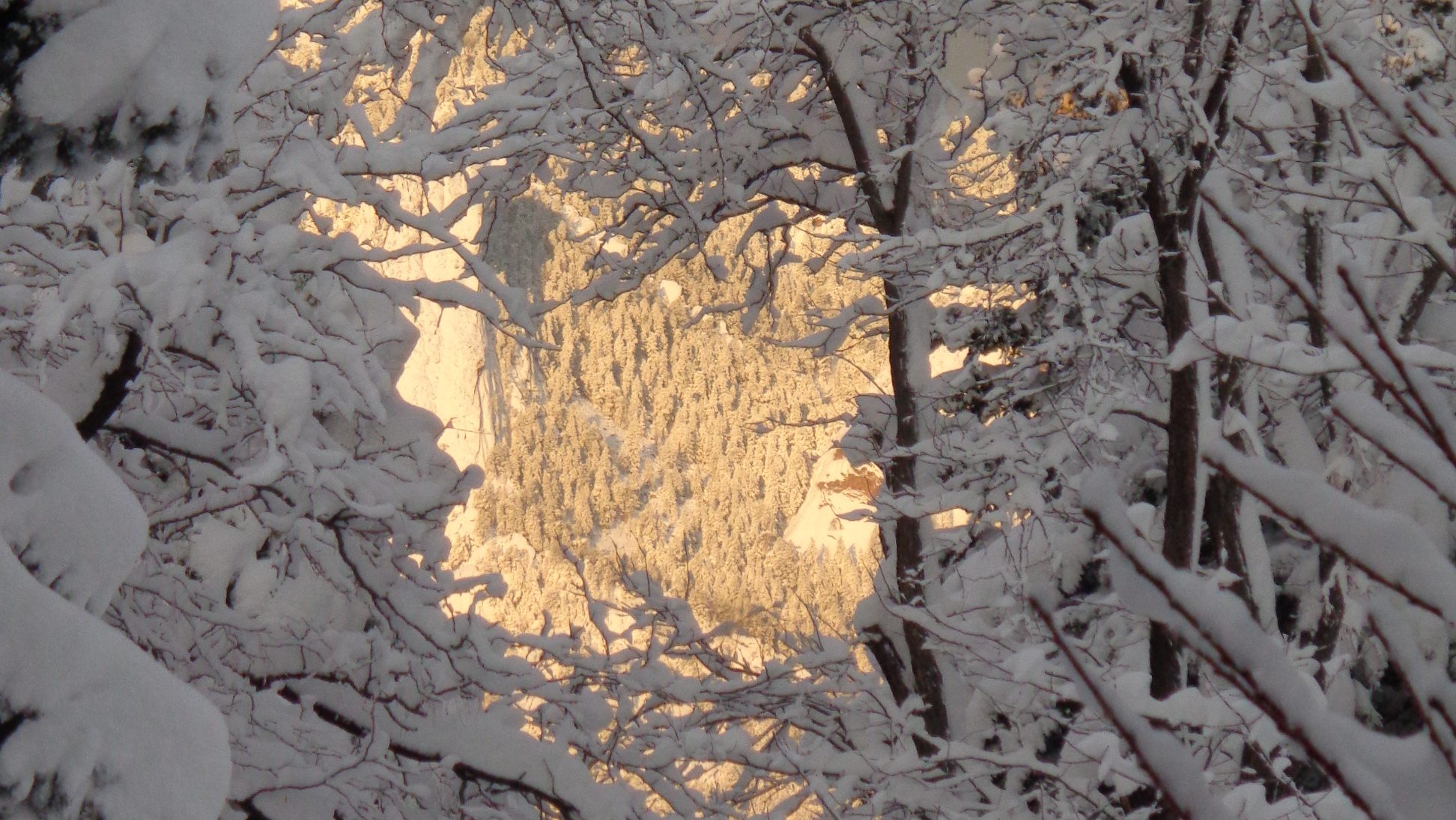 Snow Scene Light Tunnel