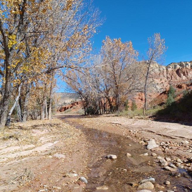 New Mexico waterway in the Desert