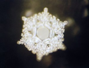 love and gratitude crystal masaru emoto